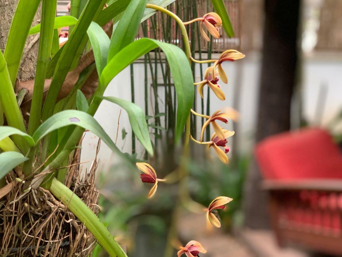 Petit Villa Boutique & Spa Siem Reap Exteriör bild