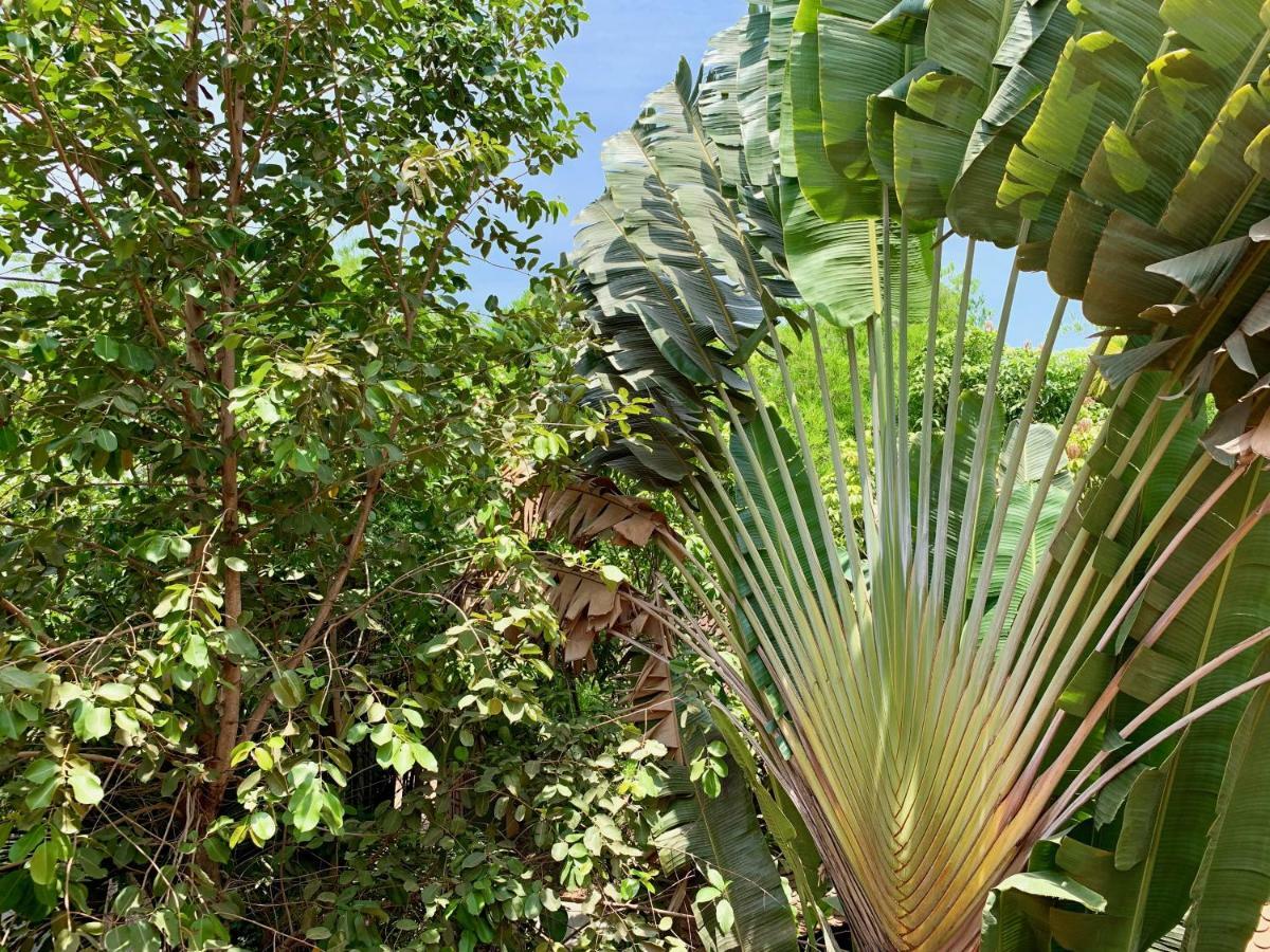 Petit Villa Boutique & Spa Siem Reap Exteriör bild