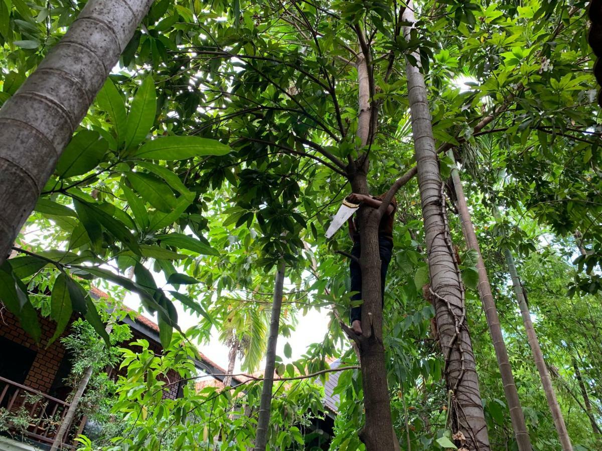 Petit Villa Boutique & Spa Siem Reap Exteriör bild